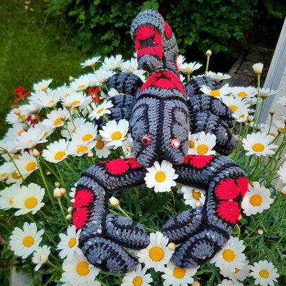 Oskar The Scorpion with African Flowers