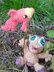 Baby Dragon's Pet - Ploppi the fire fish