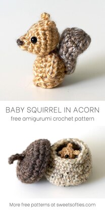 Baby Squirrel in Acorn