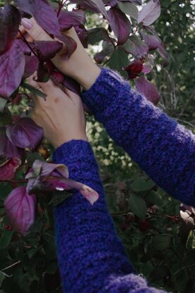 Rosebud Raglan
