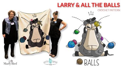 Larry and All The Balls Blanket