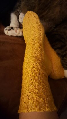 Look Around Socks