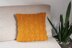 Butterscotch pillow cover