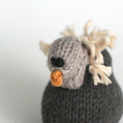 Itty Bitty Vulture