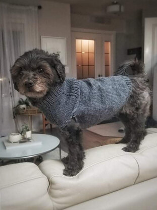 Izzy's sweater