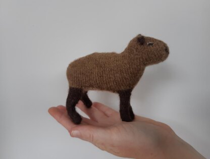 Capybara