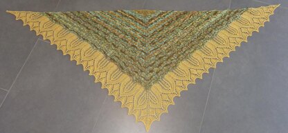 Heliantus Annuus Shawl