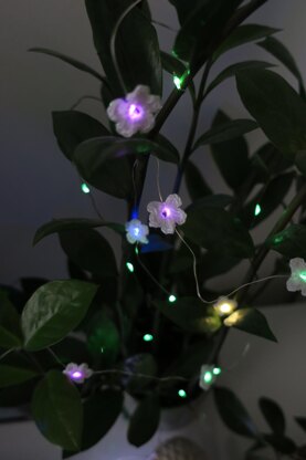 Forget Me Not