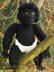 Cilla The Ugly Baby Gorilla Superfast knitting pattern