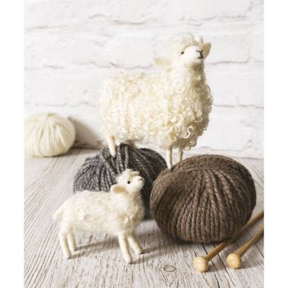 Needle Felting for Beginners by Roz Dace & Judy Balchin