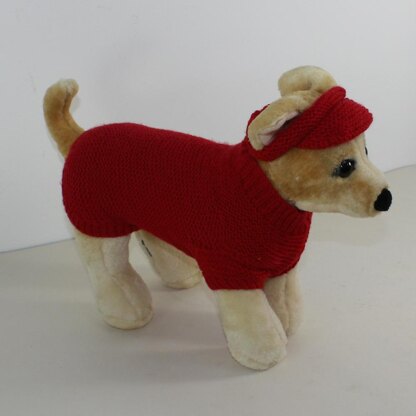 Small Dog 4 Ply Coat,Visor & Pixie Hat