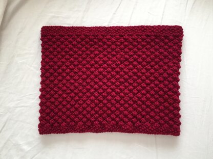 Raspberry Cowl