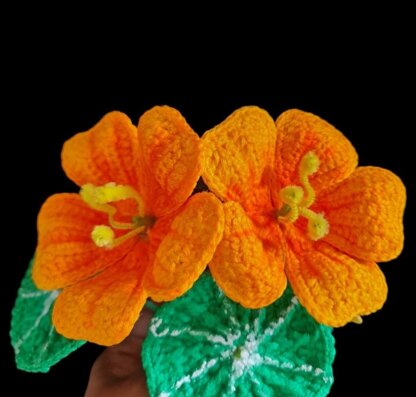 Crochet Nasturtium flowers