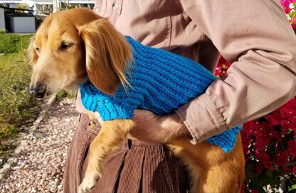 Twisted Rib Mini Doxie Sweater