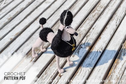 Black Persephone the poodle dog