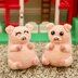 Stuffed Pig Amigurumi Toy & Piglet Pudgy Pals