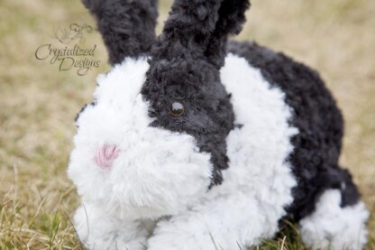 Odie the Bunny