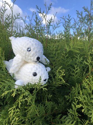 Baby Seal