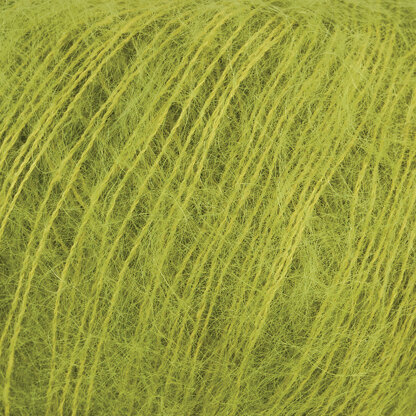 Lichen (K0016)