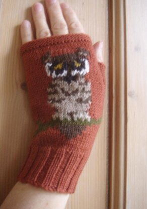 Tiny Owl fingerless gloves/mitts