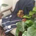 Truffula Trees Baby Blanket