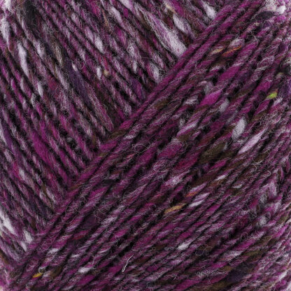 Noro Tsuido 78 Sapporo