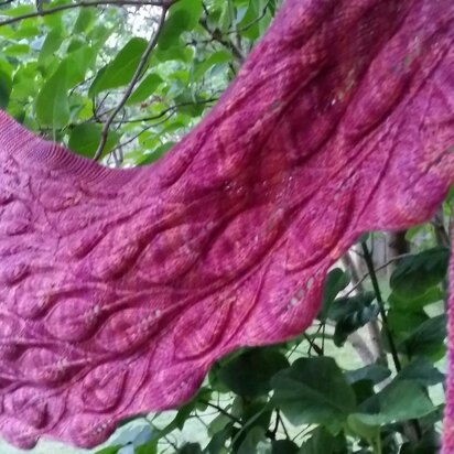 Grandifolia and Grandifolia Alternate Ending - knitting pattern