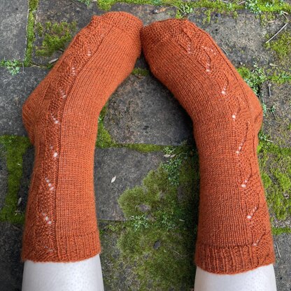 Gingernut Socks TJD15