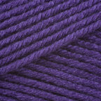 Purple Iris (147)