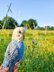 Pearl the Budgie