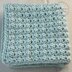 Sedge Stitch Afghan Square