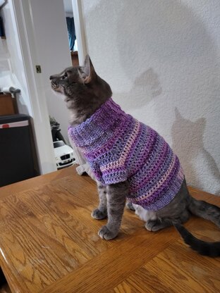 Easy pet sweater