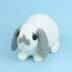 Mini Lop rabbit