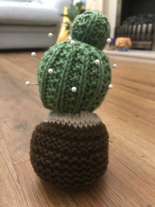 Cactus Pincushion