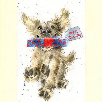 Bothy Threads Special Delivery by Hannah Dale Cross Stitch Kit - 10 x 16cm