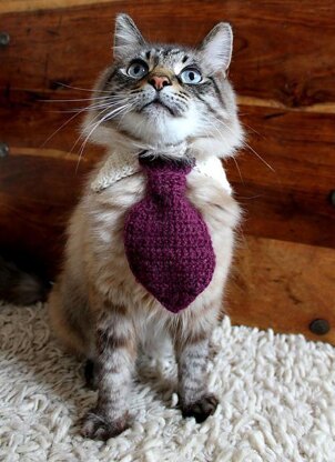 Pet Tie