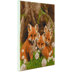 Crystal Art Fox Cubs, 30x30cm Diamond Painting Kit