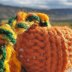 Little Knit Pumpkin Knitting Pattern