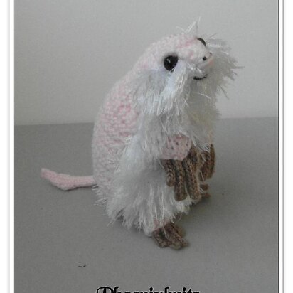 Armo The Pink Fairy Armadillo