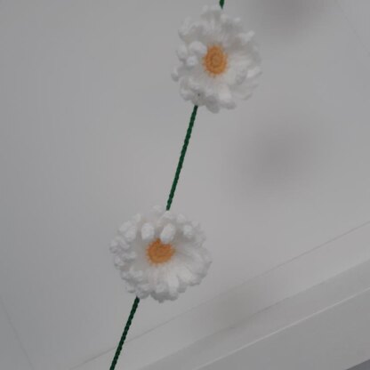 Daisy chain and wreath