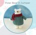 Polar Bear in Jumper