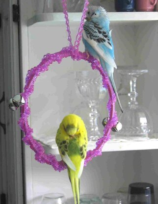 Parakeet Perchswing