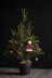 Christmas tree ornament + Santa hat Brooch + VIDEO