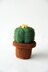 Small Cactus - Ball Cactus - Cute Green Cactus - Crochet Cactus - Crochet Plant - Plant Home Decor - DIY Plant - CROCHET PATTERN no.164