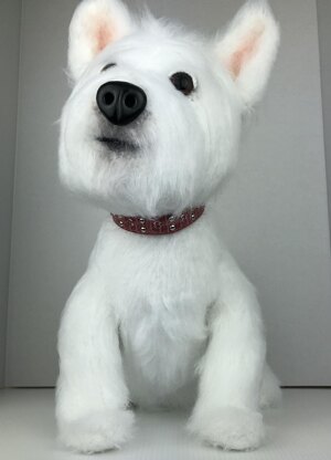 Westie dog c