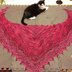 StarPainter Shawl