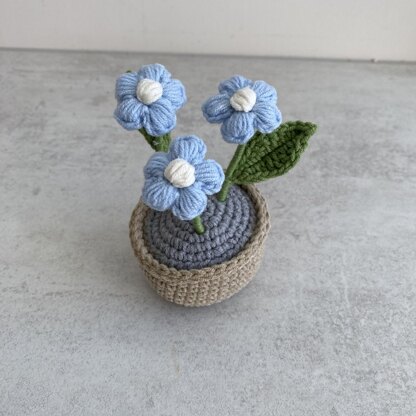 Puff Flower Plant