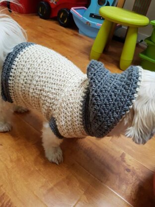 Lou Lou Easy Crochet Dog Hoodie Crochet pattern by Nicole Wang LoveCrafts