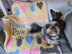 Paw Prints Dog Blanket - UK Terms