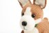 Pembroke Welsh Corgi in Deramores Studio DK - Downloadable PDF